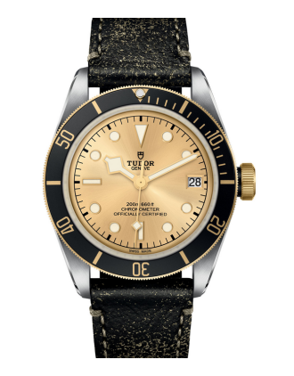 AAA Replica Tudor Black Bay S&G 41mm Mens Watch M79733N-0003