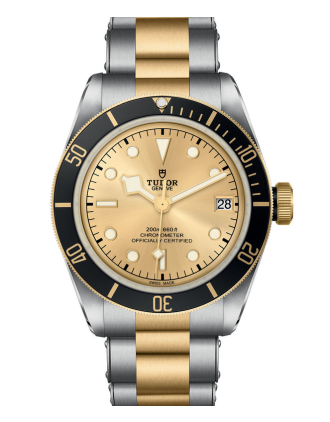 AAA Replica Tudor Black Bay S&G 41mm Mens Watch M79733N-0004