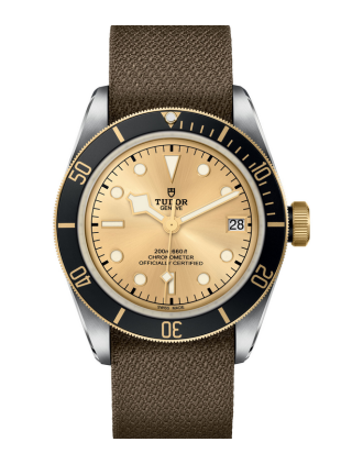 AAA Replica Tudor Black Bay S&G 41mm Mens Watch M79733N-0006