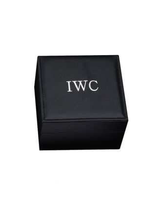 IWC Watch Case