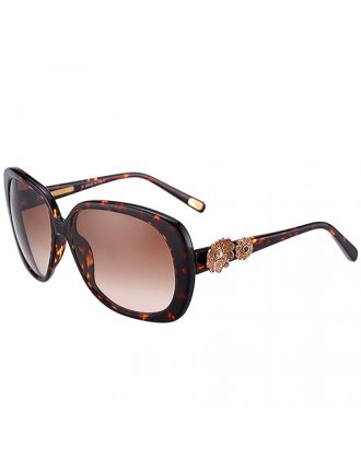 Marc Jacobs Flower Temple Havana Frames Sunglasses 307901