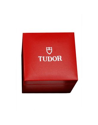 Tudor Watch Case